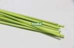 green fiber diffuser sticks